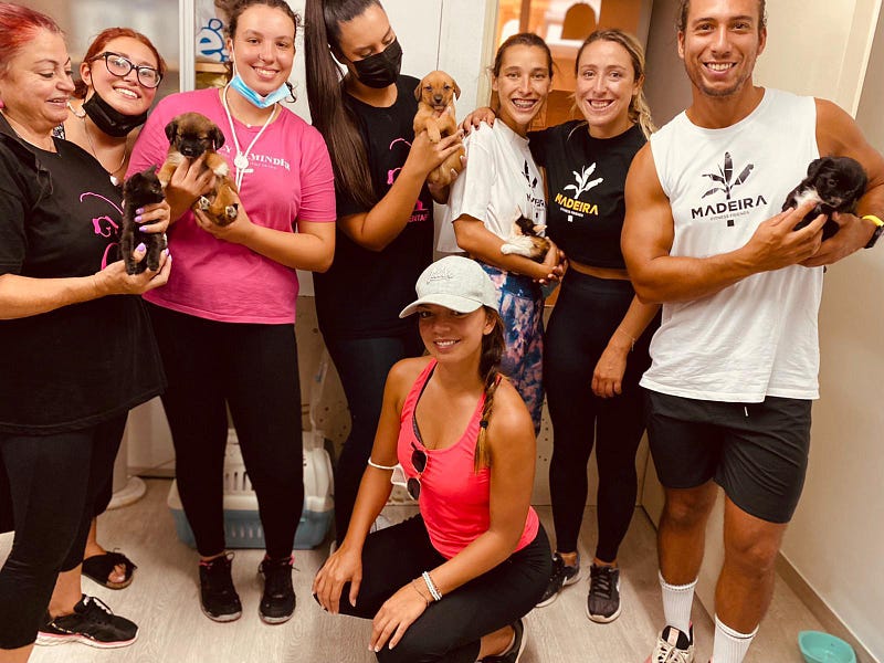 Madeira Friends host fundraiser for a non-profit animal association