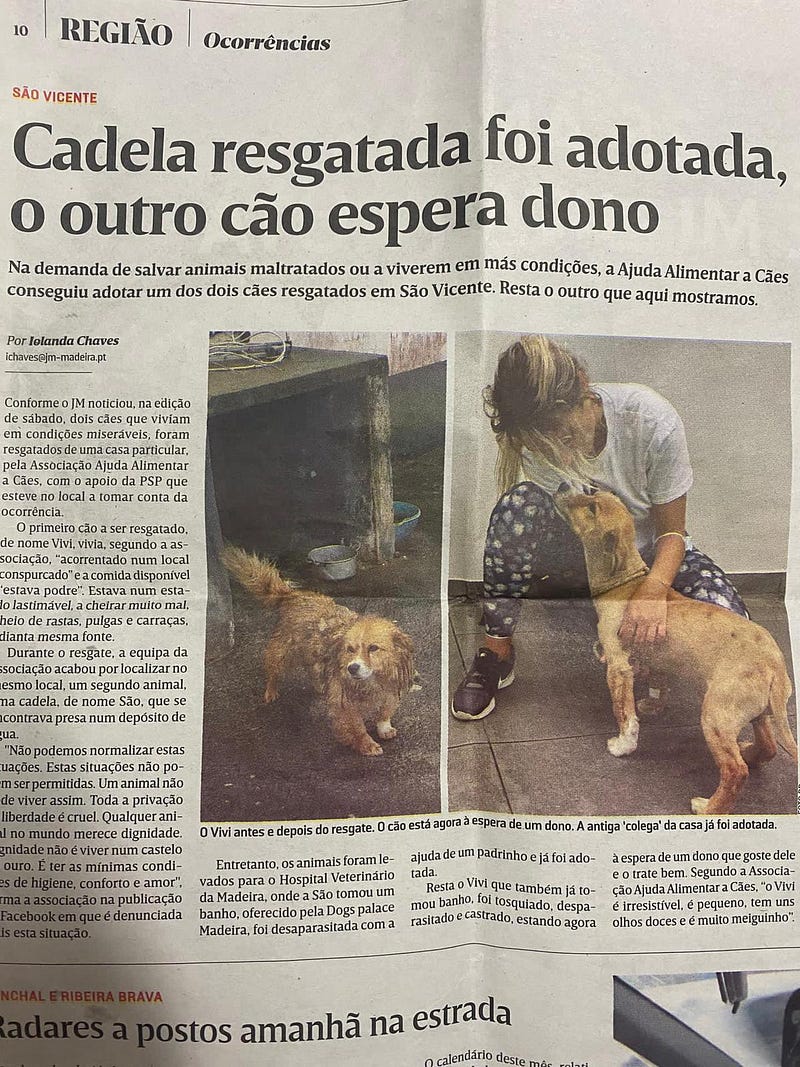 Madeira Friends host fundraiser for a non-profit animal association