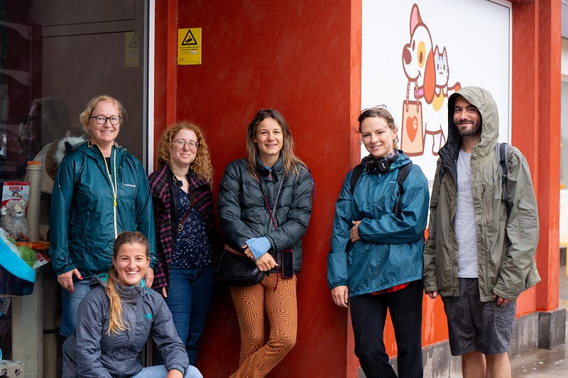 🐶 Madeira animal rescue guide