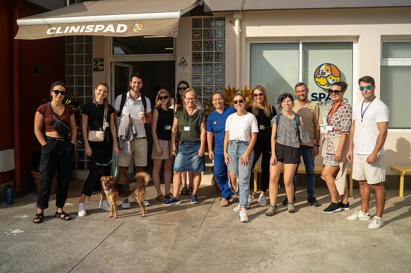 🐶 Madeira animal rescue guide