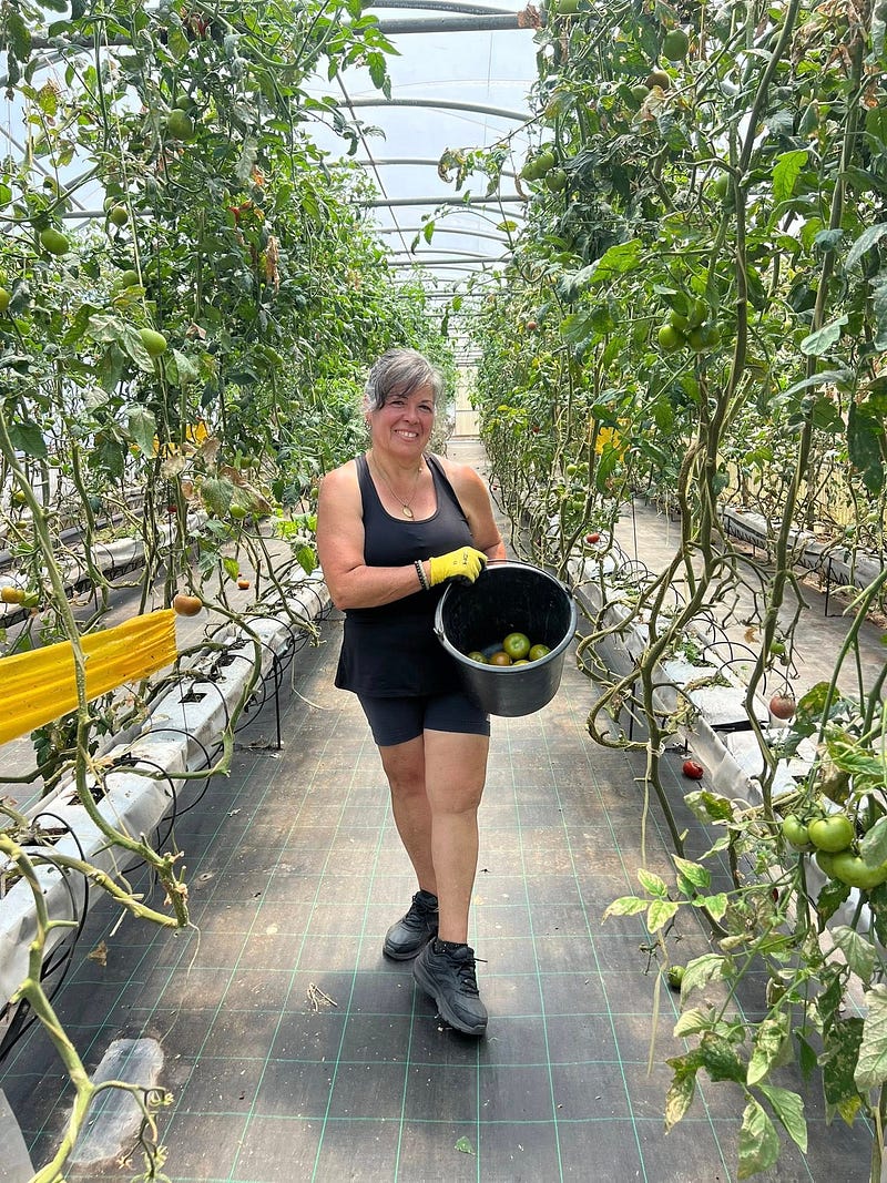 Madeira Friends and a taste of permaculture in Gaula