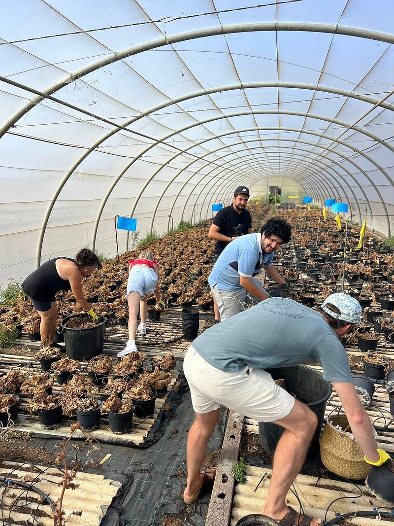 Madeira Friends and a taste of permaculture in Gaula