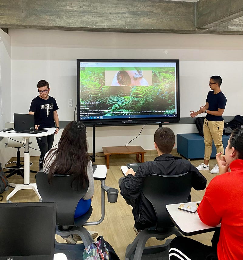 Madeira Friends Launch a Pilot Project for Schools — Giving Back Through Digital Skills