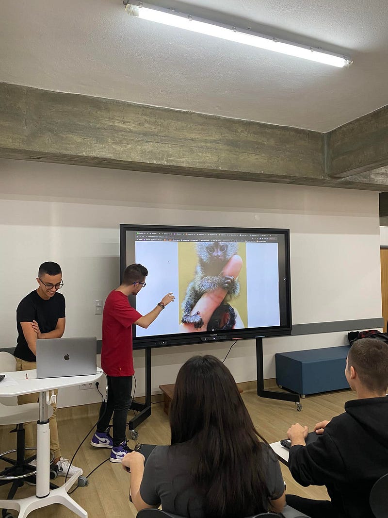 Madeira Friends Launch a Pilot Project for Schools — Giving Back Through Digital Skills