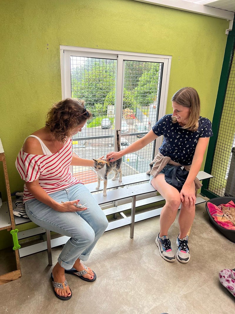 Madeira Friends visit Funchal Kennel 🐾