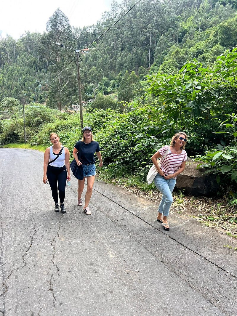 Madeira Friends visit Funchal Kennel 🐾