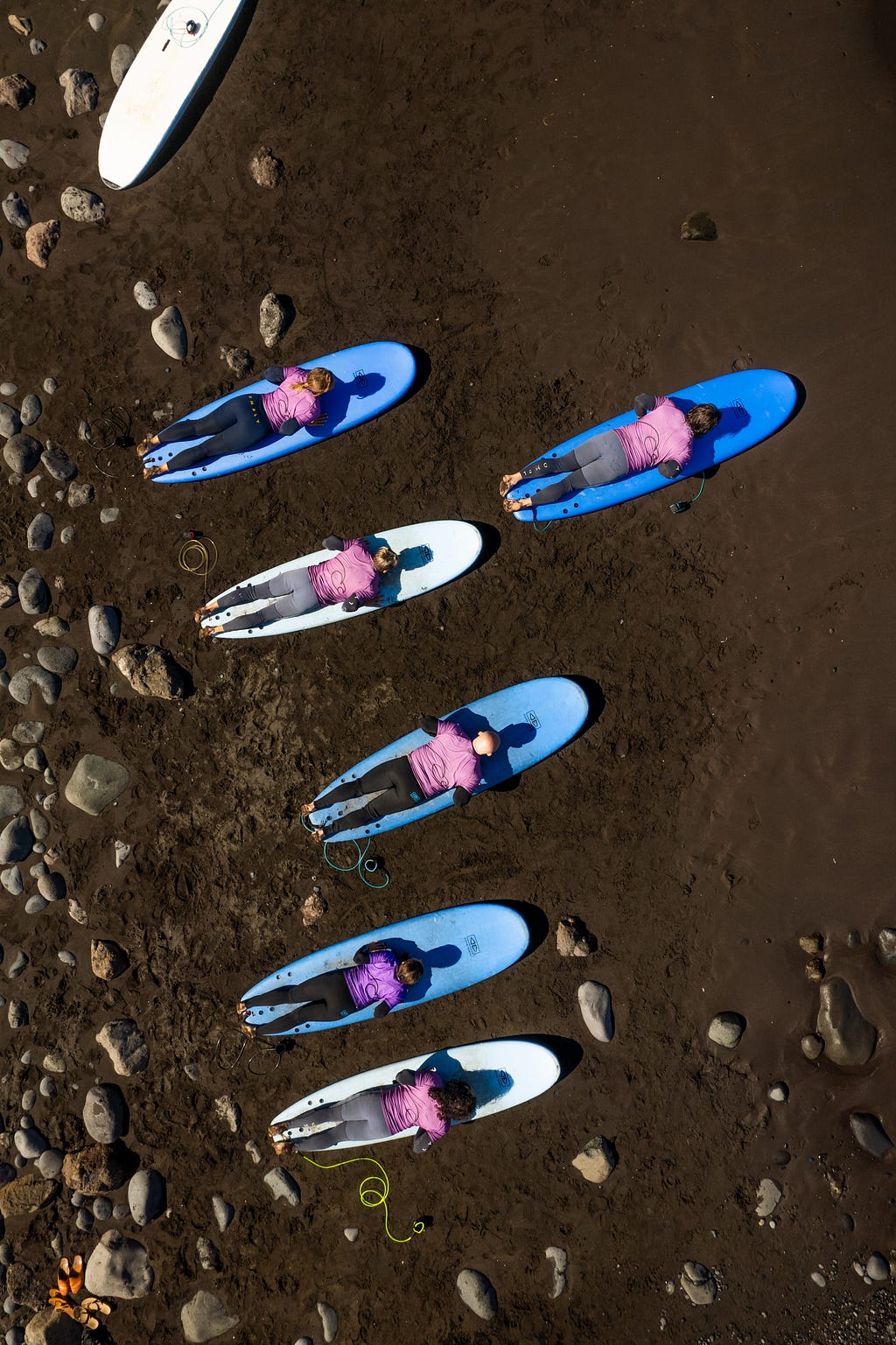 More than events: what 2025 meant for Madeira Friends