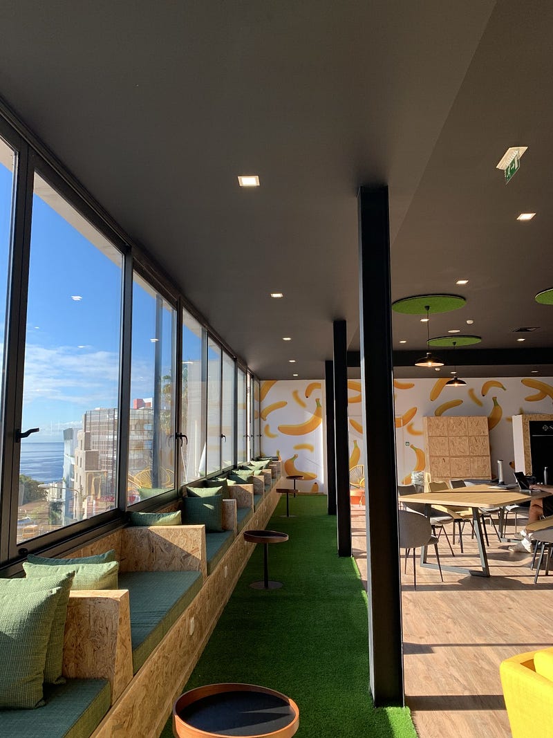 🌴 The best coworking spaces on Madeira Island